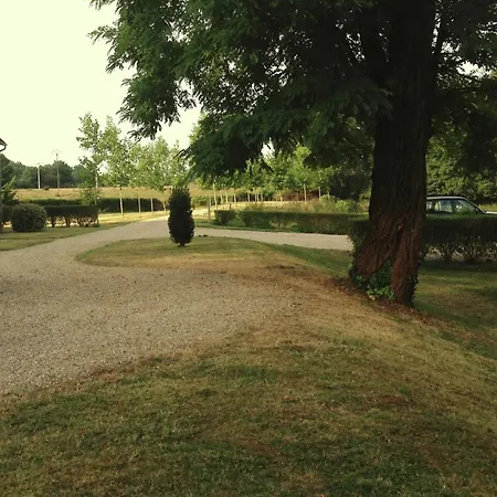 Castle In Near Forest And River *