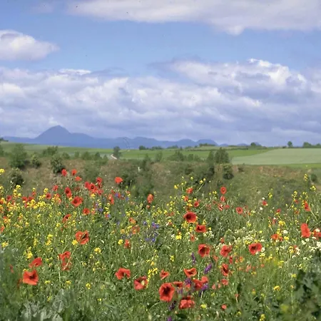 Castle In Near Forest And River 펜션 르뵈르드르