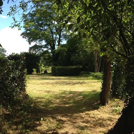 Castle In Near Forest And River