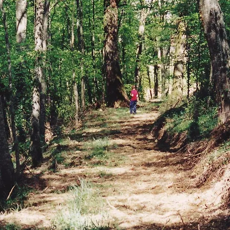 Castle In Near Forest And River 펜션 르뵈르드르