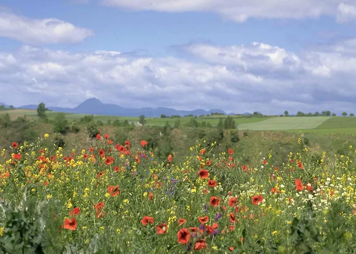 Castle In Near Forest And River 度假居 勒维尔德