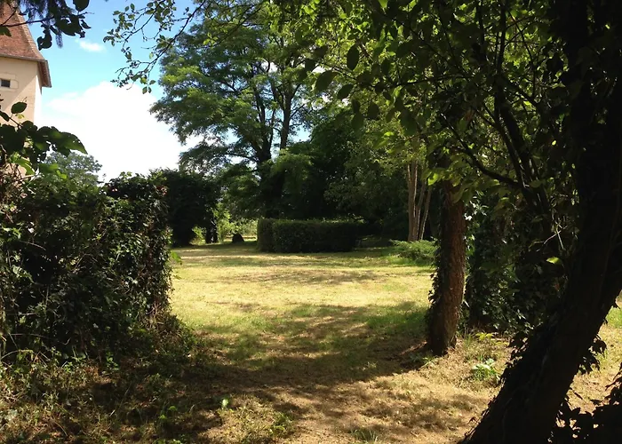 Castle In Near Forest And River