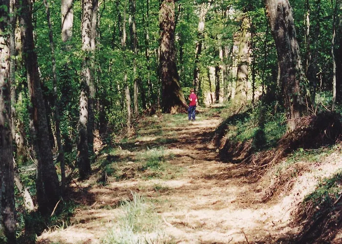 Castle In Near Forest And River 度假居 勒维尔德